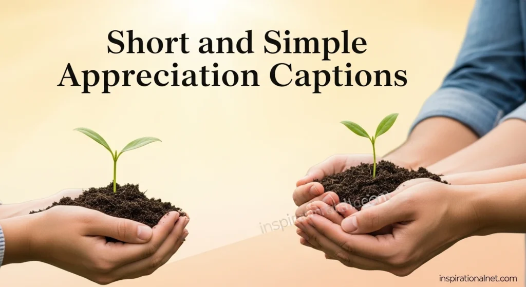 Short and Simple Appreciation Captions